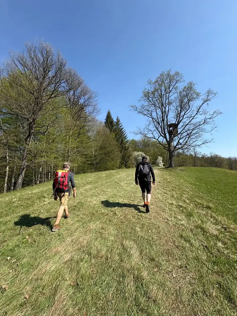 Ponudba nepremičnin