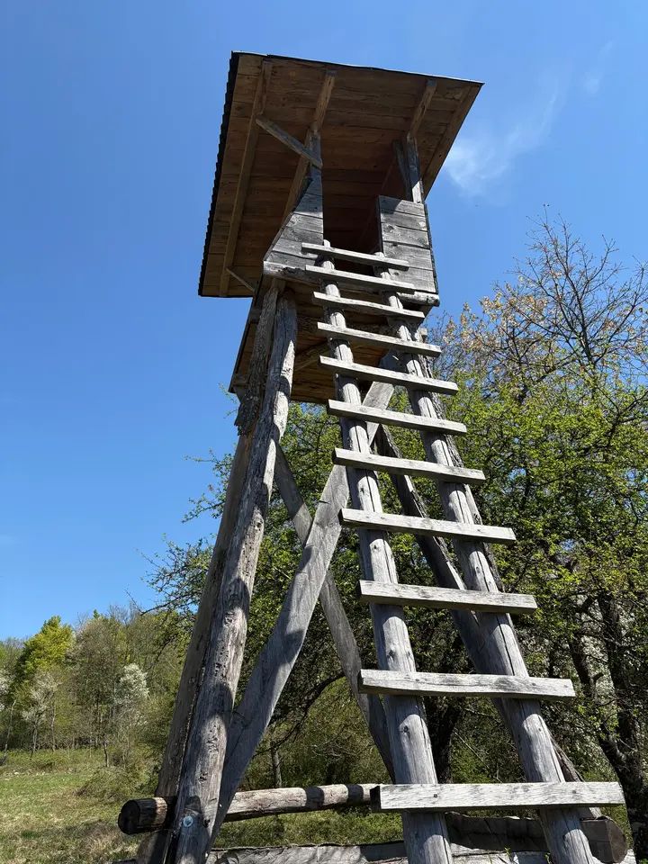 Ponudba nepremičnin
