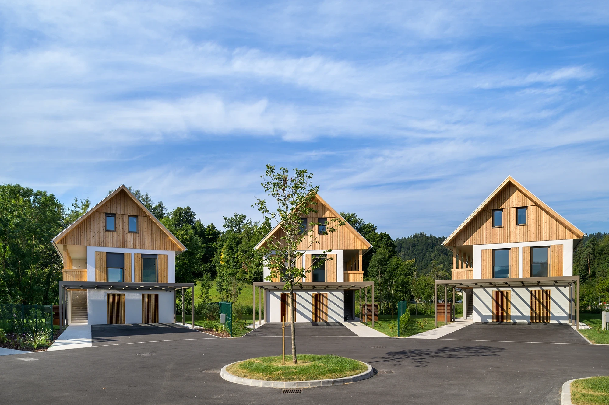 Blejska pahljaca KAM2353 2408