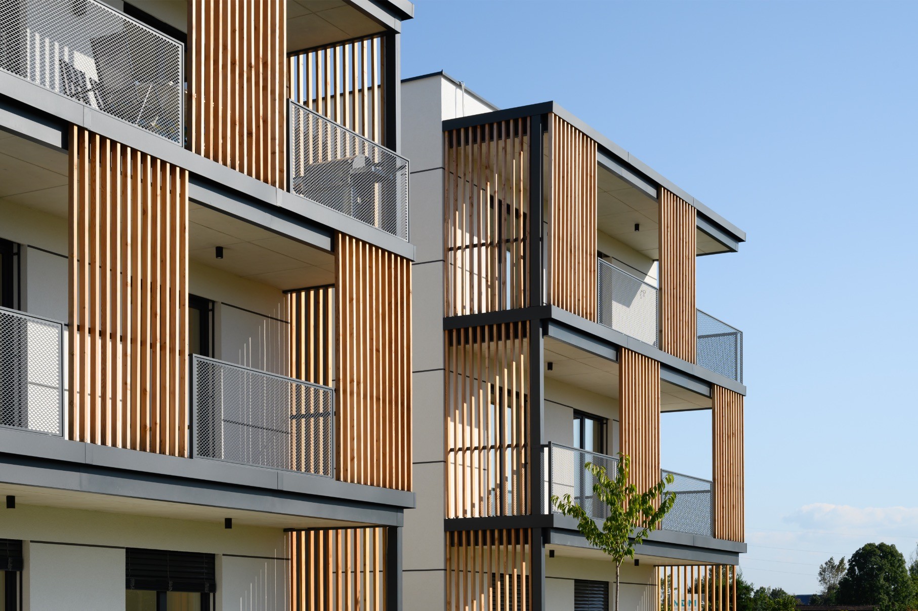 Nadgorica KAB1531 2309 naslovna